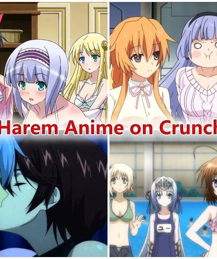 Top 10 des meilleurs anime de harem sur Crunchyroll 2021 classés 219 Top 10 des meilleurs anime de harem sur Crunchyroll 2021 classés - 218
