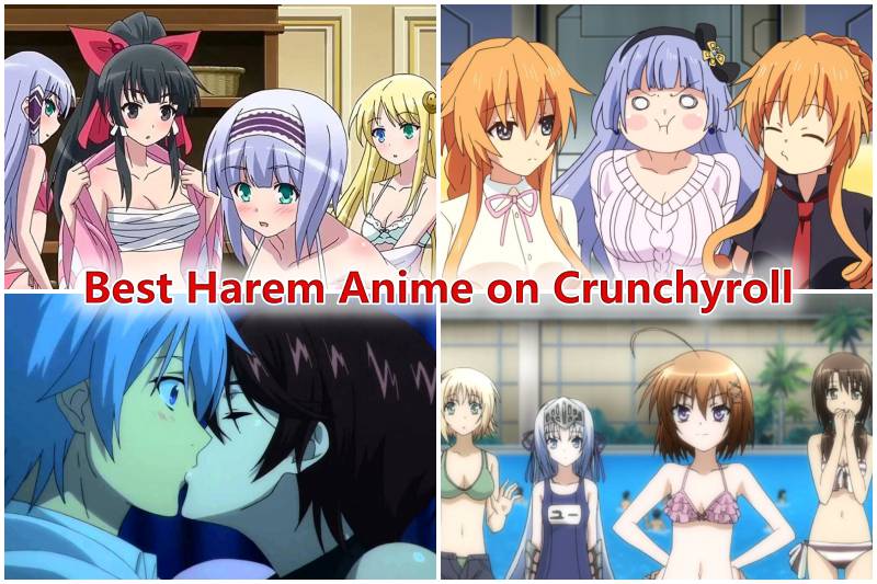 Top 10 des meilleurs anime de harem sur Crunchyroll 2021 classés 2 Top 10 des meilleurs anime de harem sur Crunchyroll 2021 classés - 1
