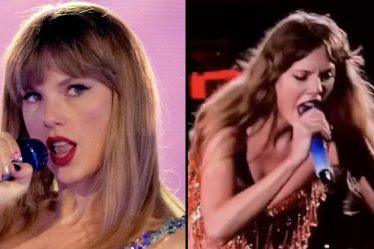 Un fan de Taylor Swift révèle pourquoi Taylor s'est arrêté pour crier au garde de sécurité au milieu de la chanson - 8