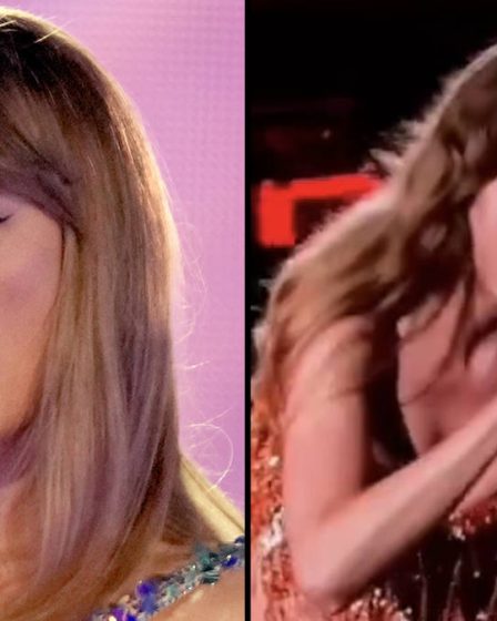 Un fan de Taylor Swift révèle pourquoi Taylor s'est arrêté pour crier au garde de sécurité au milieu de la chanson - 30