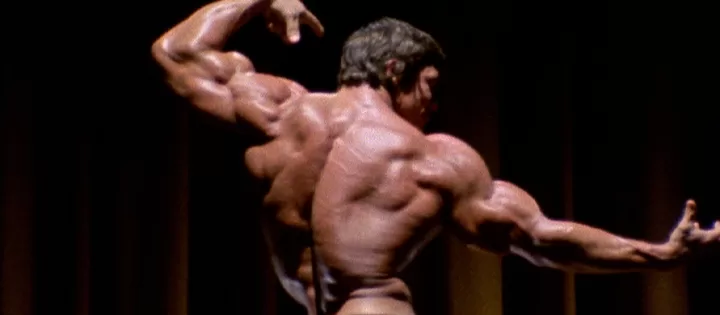 arnold les émissions de télévision netflix à venir les plus attendues du 6 juin 2023 arnold les émissions de télévision netflix à venir les plus attendues du 6 juin 2023