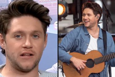 Les paroles de You Could Start a Cult de Niall Horan : le sens expliqué - 7