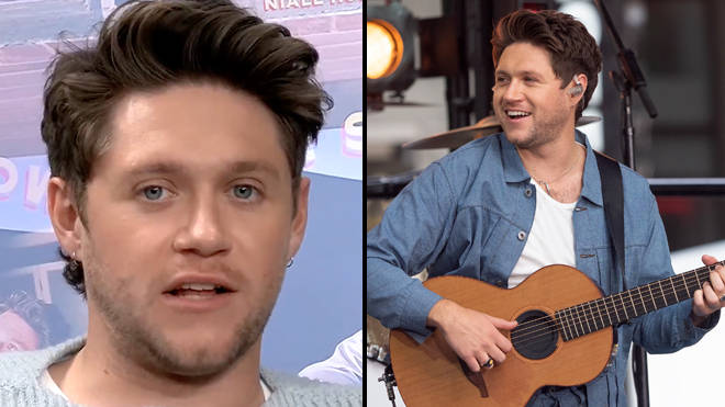 Les paroles de You Could Start a Cult de Niall Horan : le sens expliqué - 1