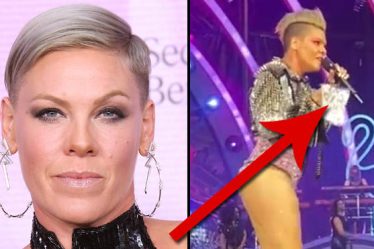 Pink est restée choquée après qu'un fan lui ait jeté les cendres de sa mère sur scène - 11