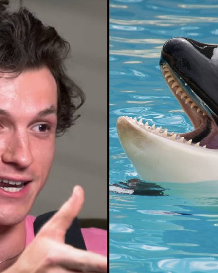 L'incroyable histoire de Tom Holland sur la nage avec les épaulards devient virale 36 L'incroyable histoire de Tom Holland sur la nage avec les épaulards devient virale - 35