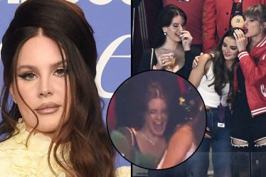 Lana Del Rey renversée lors des célébrations du Super Bowl devient virale - 5