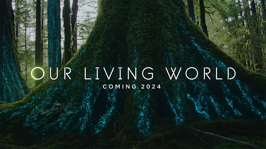 Notre monde vivant Netflix 2024 Notre monde vivant Netflix 2024