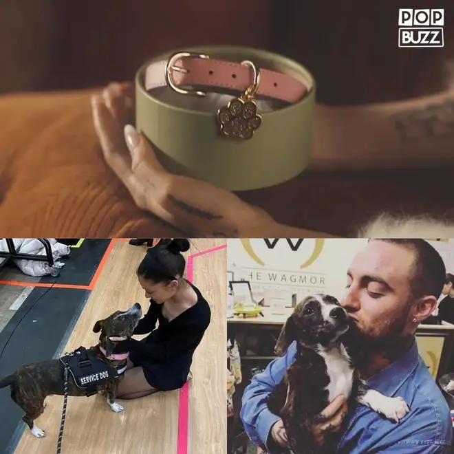 La vidéo We Can't Be Friends d'Ariana Grande parle-t-elle de Mac Miller ? Les références expliquées 6 Ariana Grande, Mac Miller et leur chien Myron