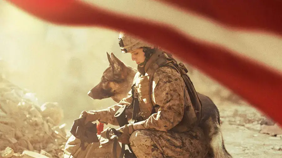 Megan Leavey Nouveau sur Netflix avril 2024