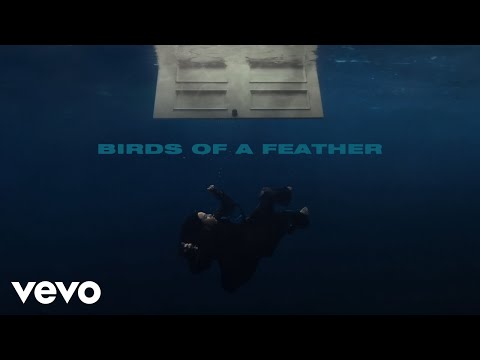 La signification des paroles de « Birds of a Feather » de Billie Eilish expliquée - 6
