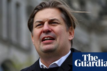 Allemagne : Candidat principal des élections AfD démissionne après remarque sur les SS | Élections parlementaires européennes 2024 - 3
