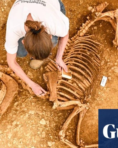 Découverte de restes de chevaux enterrés il y a 2 000 ans en France centrale 40 Découverte de restes de chevaux enterrés il y a 2 000 ans en France centrale - 39