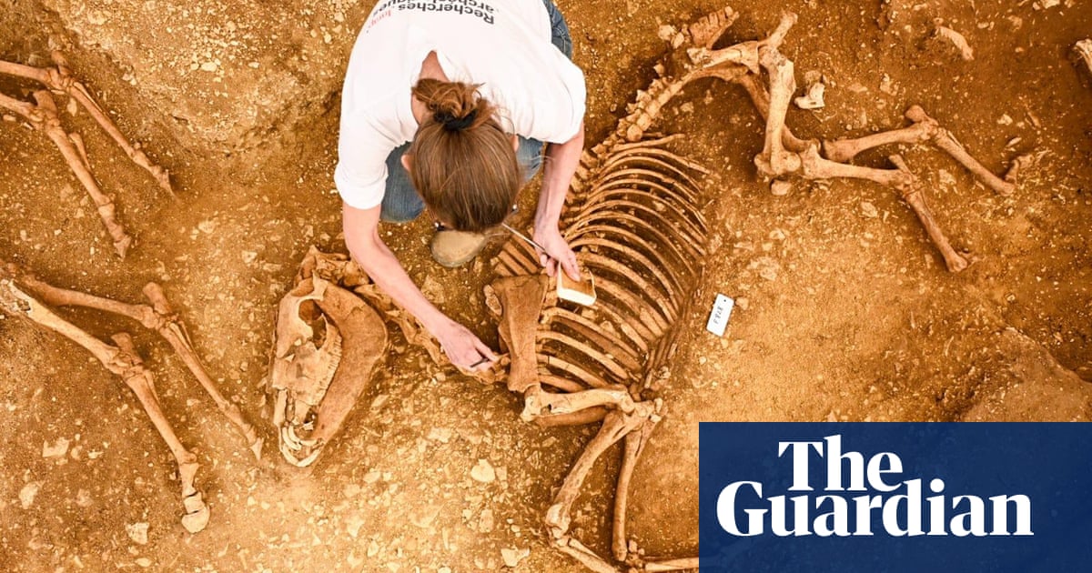 Découverte de restes de chevaux enterrés il y a 2 000 ans en France centrale - 1