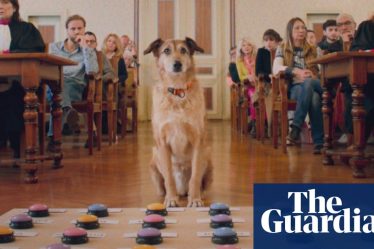 Pourquoi Cannes est-elle devenue folle des chiens ? | Cannes 2024 - 4