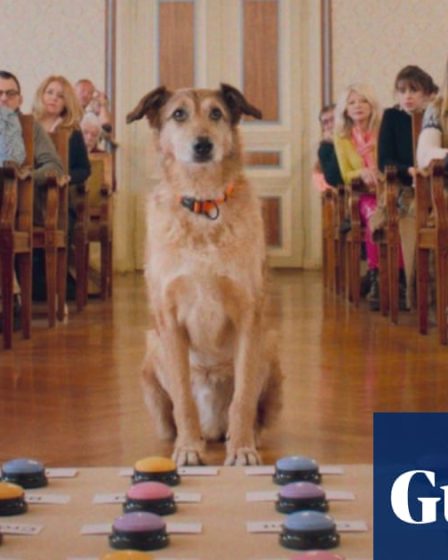 Pourquoi Cannes est-elle devenue folle des chiens ? | Cannes 2024 46 Pourquoi Cannes est-elle devenue folle des chiens ? | Cannes 2024 - 45