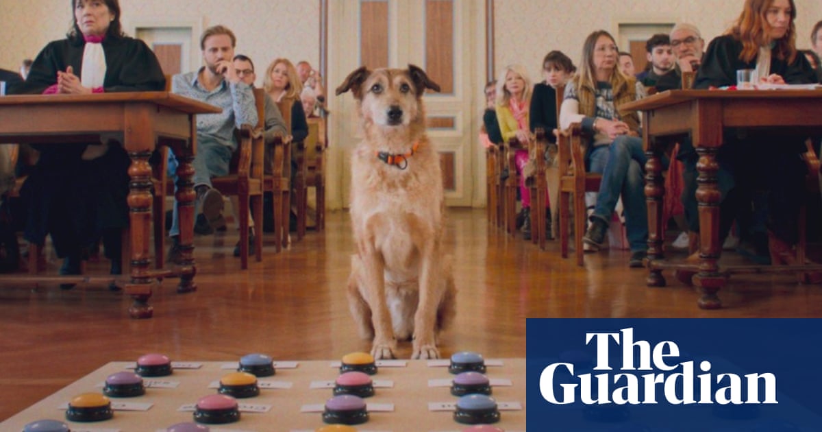 Pourquoi Cannes est-elle devenue folle des chiens ? | Cannes 2024 2 Pourquoi Cannes est-elle devenue folle des chiens ? | Cannes 2024 - 1