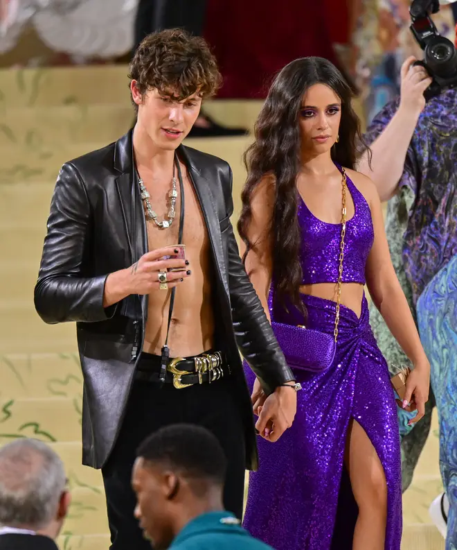 Les paroles de « Coïncidence » de Sabrina Carpenter et la signification de la surprise expliquée 8 Shawn Mendes et Camila Cabello sont sortis ensemble depuis environ deux ans