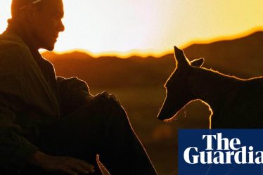 <h2>Le réalisateur de Chien Noir, Guan Hu, parle de l'incroyable lien entre l'homme et l'animal sur le tournage</h2><br />
<br />
Le réalisateur renommé Guan Hu nous livre des détails sur le tournage de son dernier film, Chien Noir, mettant en vedette un chien remarquable. Il souligne l'importance de l'animal dans l'histoire et comment son caractère unique a enrichi l'expérience de tournage pour toute l'équipe. Découvrez comment cette relation spéciale a transcendé l'écran pour captiver les spectateurs.<br />
<br />
Points importants:<br />
- L'importance du chien dans le film<br />
- L'impact du caractère unique de l'animal sur le tournage<br />
- La relation spéciale entre l'homme et l'animal qui enchante le public - 4