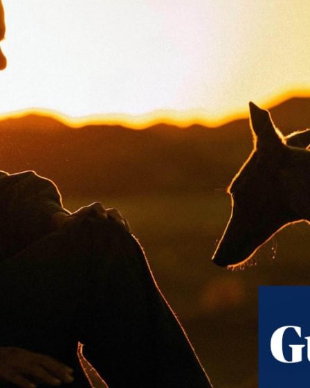 <h2>Le réalisateur de Chien Noir, Guan Hu, parle de l'incroyable lien entre l'homme et l'animal sur le tournage</h2><br />
<br />
Le réalisateur renommé Guan Hu nous livre des détails sur le tournage de son dernier film, Chien Noir, mettant en vedette un chien remarquable. Il souligne l'importance de l'animal dans l'histoire et comment son caractère unique a enrichi l'expérience de tournage pour toute l'équipe. Découvrez comment cette relation spéciale a transcendé l'écran pour captiver les spectateurs.<br />
<br />
Points importants:<br />
- L'importance du chien dans le film<br />
- L'impact du caractère unique de l'animal sur le tournage<br />
- La relation spéciale entre l'homme et l'animal qui enchante le public 50 <h2>Le réalisateur de Chien Noir, Guan Hu, parle de l'incroyable lien entre l'homme et l'animal sur le tournage</h2><br />
<br />
Le réalisateur renommé Guan Hu nous livre des détails sur le tournage de son dernier film, Chien Noir, mettant en vedette un chien remarquable. Il souligne l'importance de l'animal dans l'histoire et comment son caractère unique a enrichi l'expérience de tournage pour toute l'équipe. Découvrez comment cette relation spéciale a transcendé l'écran pour captiver les spectateurs.<br />
<br />
Points importants:<br />
- L'importance du chien dans le film<br />
- L'impact du caractère unique de l'animal sur le tournage<br />
- La relation spéciale entre l'homme et l'animal qui enchante le public - 49