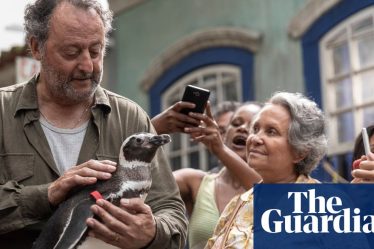 Jean Reno partage la vedette avec un animal lors du tournage de Mon Ami le Pingouin - 4