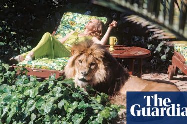 Stars hollywoodiens de l'âge d'or (et leurs lions de compagnie) - en images | Cinéma - 2