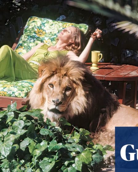 Stars hollywoodiens de l'âge d'or (et leurs lions de compagnie) - en images | Cinéma 20 Stars hollywoodiens de l'âge d'or (et leurs lions de compagnie) - en images | Cinéma - 19