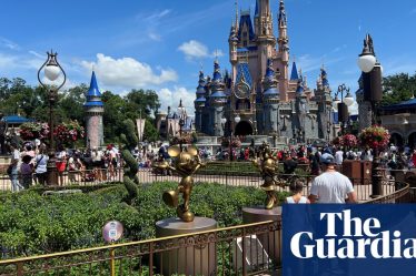 Disney se défend d'utiliser des termes de streaming pour bloquer le procès de décès d'allergie en restaurant | Walt Disney Company - 2