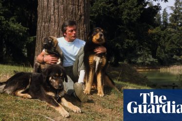 La famille d'Alain Delon refuse d'enterrer le chien acteur qui voulait être enterré avec lui - 2