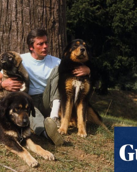 La famille d'Alain Delon refuse d'enterrer le chien acteur qui voulait être enterré avec lui - 52