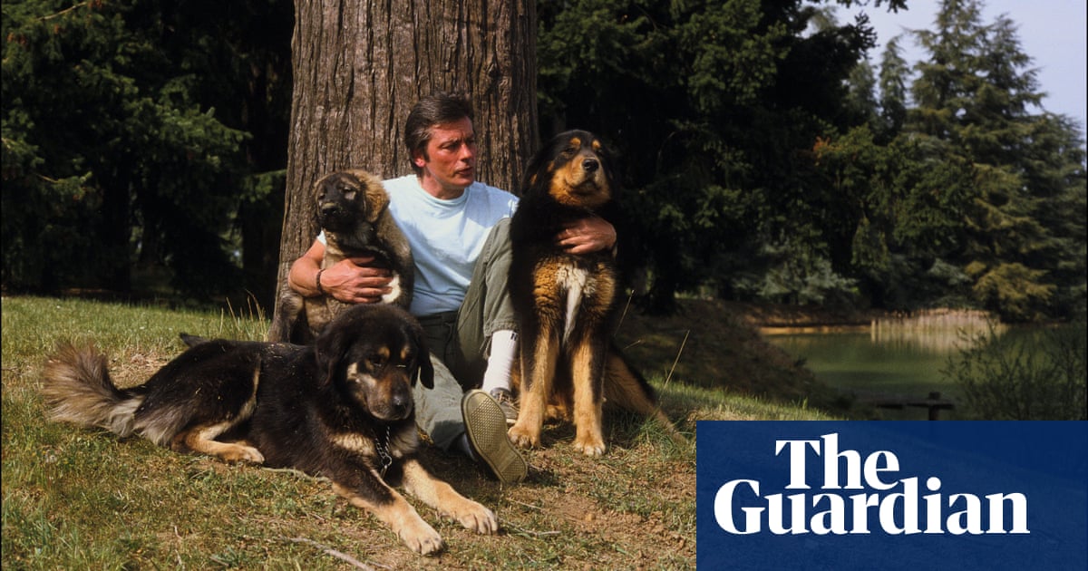 La famille d'Alain Delon refuse d'enterrer le chien acteur qui voulait être enterré avec lui 2 La famille d'Alain Delon refuse d'enterrer le chien acteur qui voulait être enterré avec lui - 1