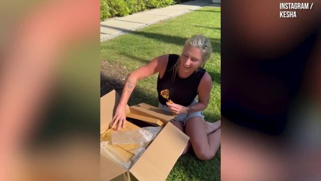 Kesha va réenregistrer "Tik Tok" pour changer définitivement les paroles de P. Diddy - 4