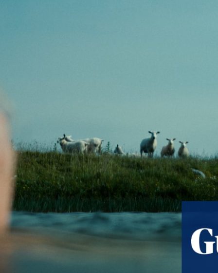 Critique du film "Notes de Sheepland" : portrait touchant d'un artiste-agriculteur passionné par les moutons 59 Critique du film "Notes de Sheepland" : portrait touchant d'un artiste-agriculteur passionné par les moutons - 58