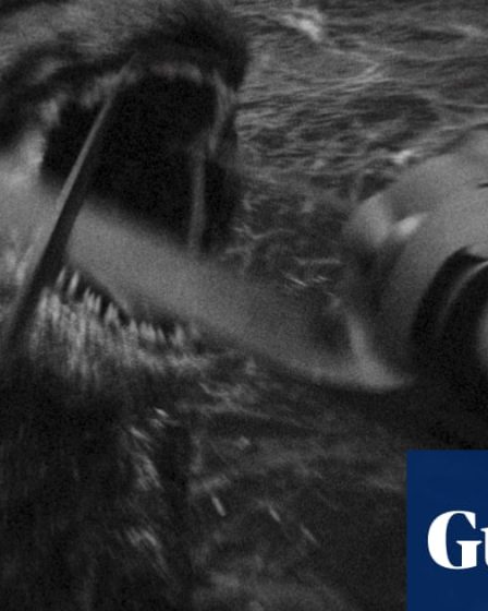 Critique du film : Godzilla en noir et blanc - un monstre magnifique - 31
