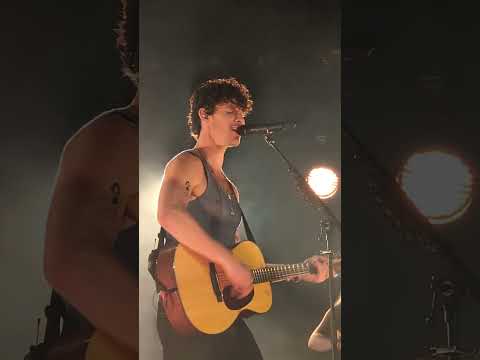 Shawn Mendes rend hommage à Liam Payne sur scène avec un « Heart of Gold » déchirant... - 6