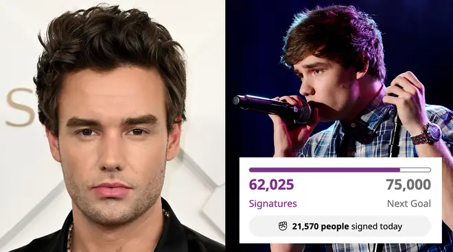 Les fans de Liam Payne ont lancé une pétition virale pour changer les lois sur la santé mentale dans la musique... 3 Les fans de Liam Payne ont lancé une pétition virale pour modifier les lois sur la santé mentale dans l'industrie musicale