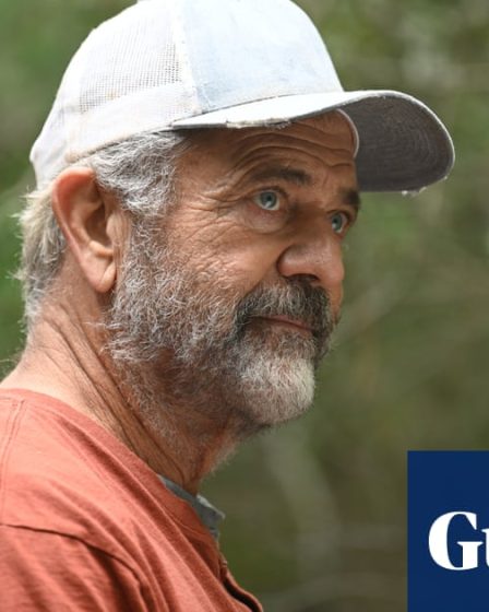 Critique du film "Monster Summer" : Mel Gibson face aux forces surnaturelles | Film 38 Critique du film "Monster Summer" : Mel Gibson face aux forces surnaturelles | Film - 37