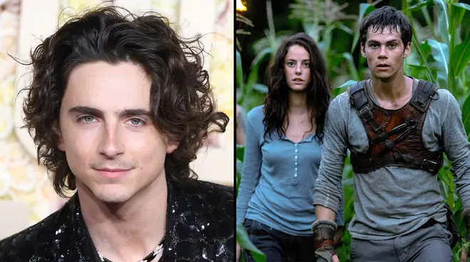 Timothée Chalamet a dû "prendre du poids" après avoir perdu Divergent et Maze Runner... 3 Timothée Chalamet a été invité à