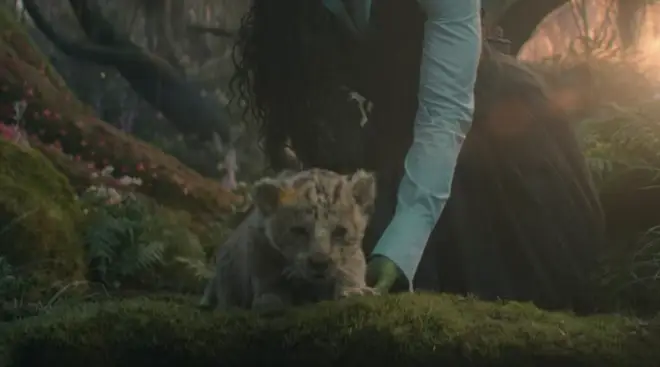 Les téléspectateurs ont rencontré le lionceau dans Wicked Part One