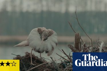 Critique de Dead Birds Flying High - portrait naturaliste intrigant sans tabou sur le nazisme | Film - 4