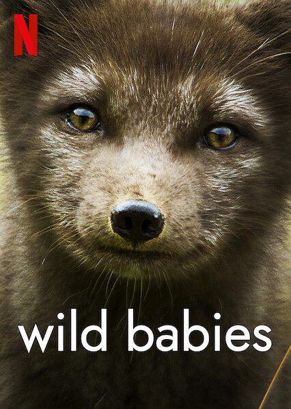 Les 10 documentaires nature incontournables sur Netflix en 2025 6 Bébés sauvages Poster