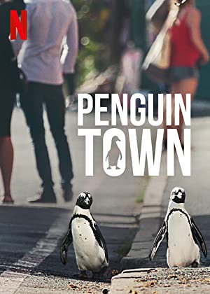 Les 10 documentaires nature incontournables sur Netflix en 2025 14 Ville de pingouin Poster