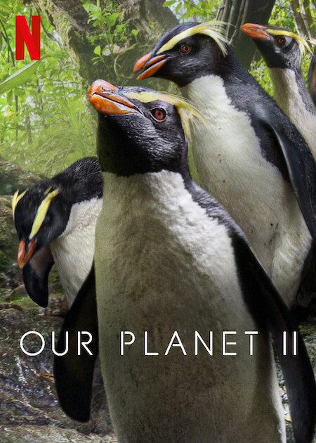 Les 10 documentaires nature incontournables sur Netflix en 2025 18 Notre planète Poster
