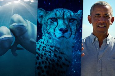 Les 10 documentaires nature incontournables sur Netflix en 2025 - 9