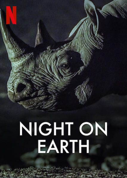 Les 10 documentaires nature incontournables sur Netflix en 2025 3 Nuit sur Terre Poster