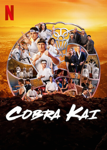 La meilleure nouvelle série Netflix en 2025 (jusqu'à présent) 20 Affiche de Cobra Kai