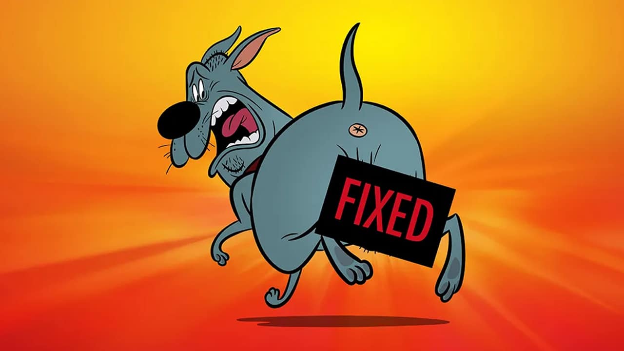 Un gâchis torride qui est tout l'écorce, pas de balles 5 Correction de comédie animée pour adultes Netflix à venir en août 2025