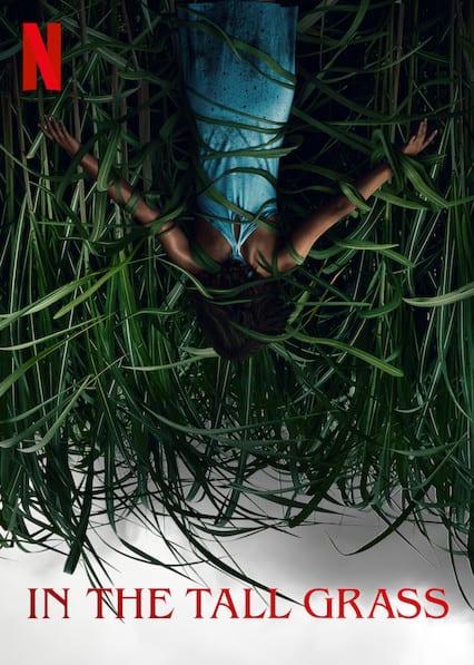 15 meilleurs films d'horreur originaux Netflix de tous les temps 18 Dans les hautes herbes Poster